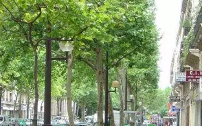Paris 11E (75011)