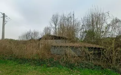 Percey (89360)