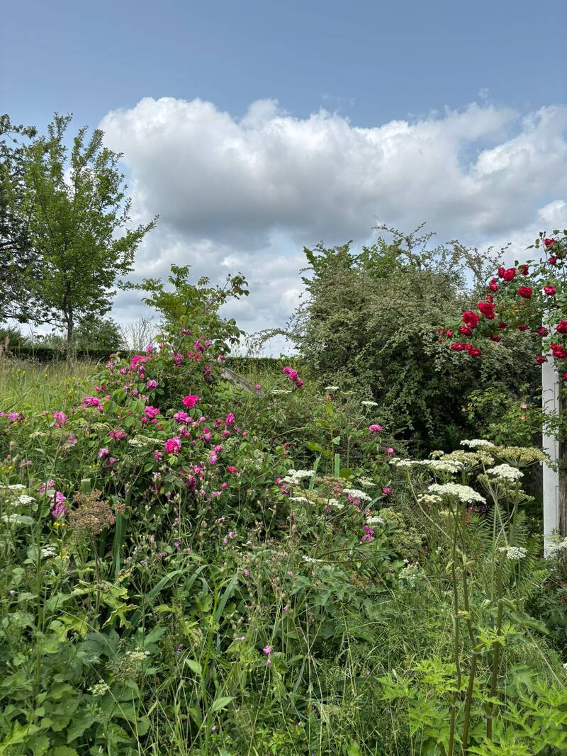 Longuenoë