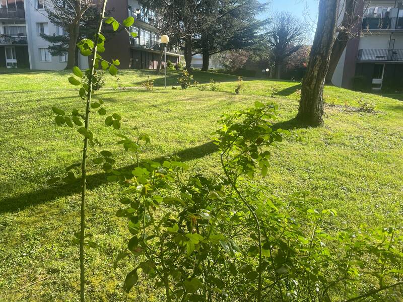 Houilles (78800)