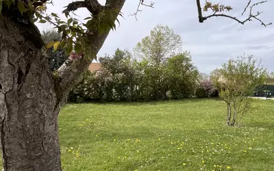 Chavenay (78450)