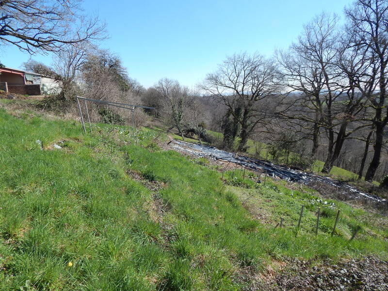 Villecomtal (12580)