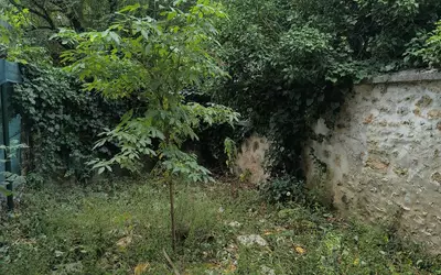 Arpajon (91290)