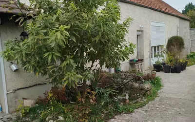 Sceaux-Du-Gâtinais (45490)