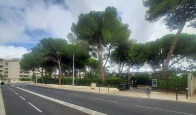 Vente appartement studio Montpellier (34)