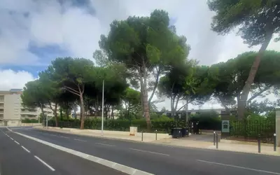 Montpellier (34000)