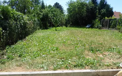 Cormeilles-En-Parisis (95240)