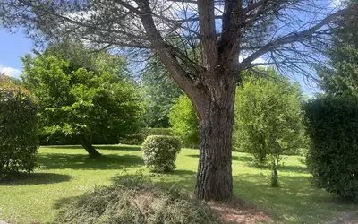 Cursan (33670)