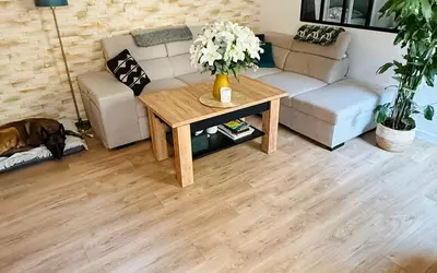 Vanves (92170)