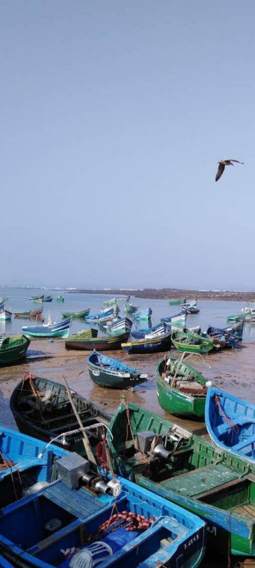 Maroc