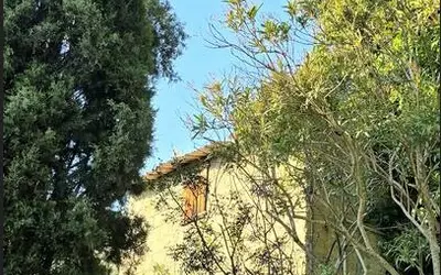 Nice - Collines