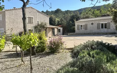 Vidauban (83550)