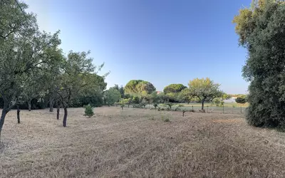 Vinassan (11110)