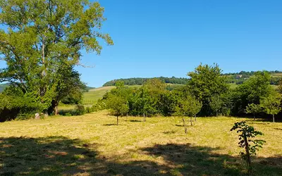 Dont Gîtes 128 M² - Mercurey