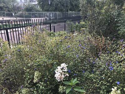 Location appartement studio Boulogne-Billancourt (92100)