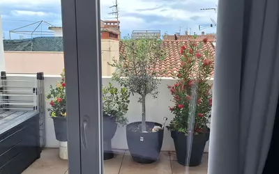 Perpignan (66000)