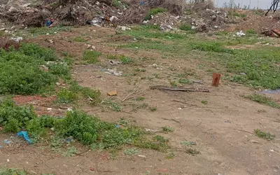 Tunisie
