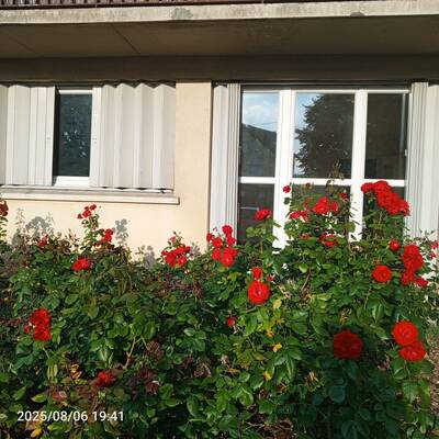 Vente appartement 3 pièces Vitry-sur-Seine (94400)