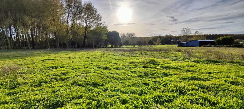 Champigny-Sur-Veude (37120)