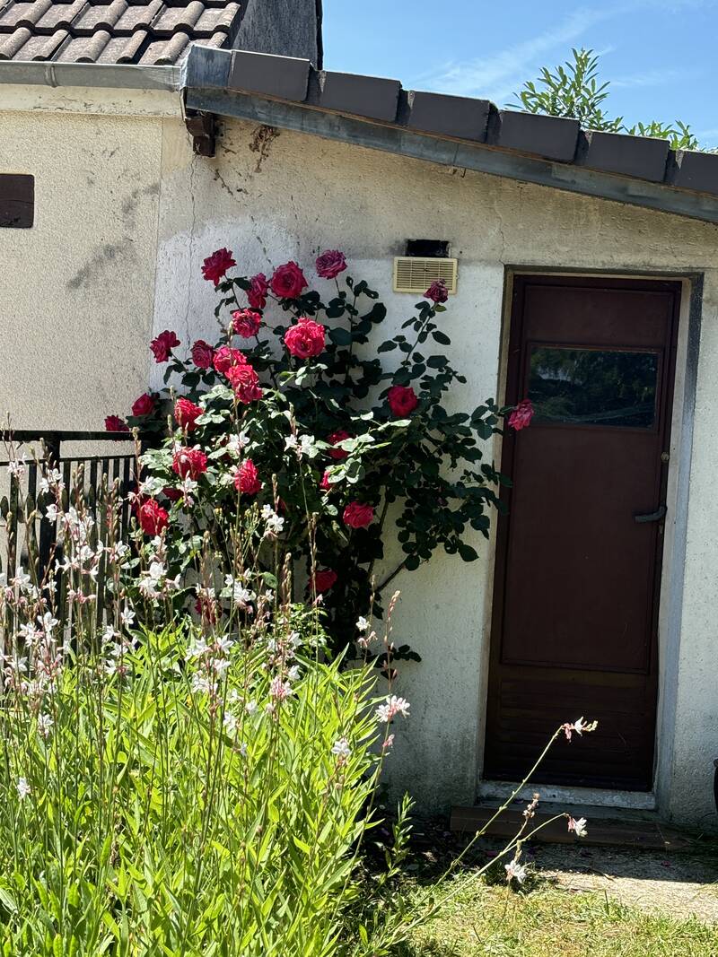 Selles-Sur-Cher (41130)