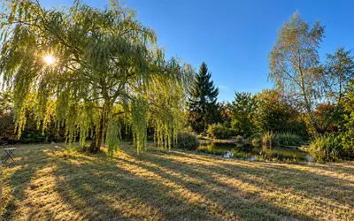 Montacher-Villegardin (89150)