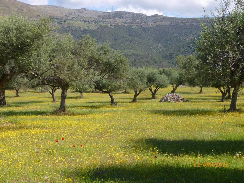 Grèce