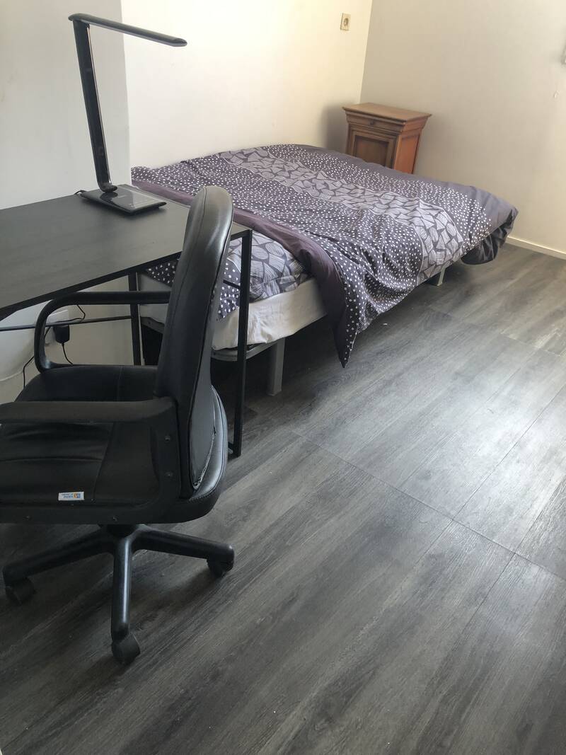 Champs-Sur-Marne, Colocation