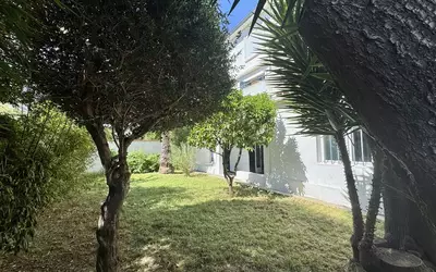 Perpignan (66000)