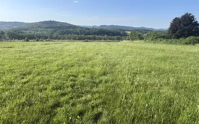 Courlans (39570)