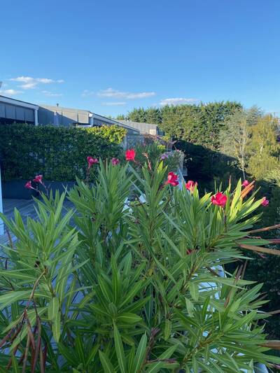 Vente appartement 3 pièces Le Chesnay-Rocquencourt (78150)