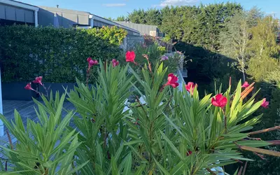 Le Chesnay-Rocquencourt (78150)