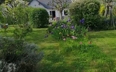 Loches (37600)