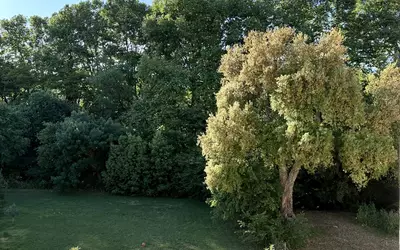 La Môle (83310)