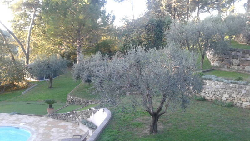 Opio (06650)