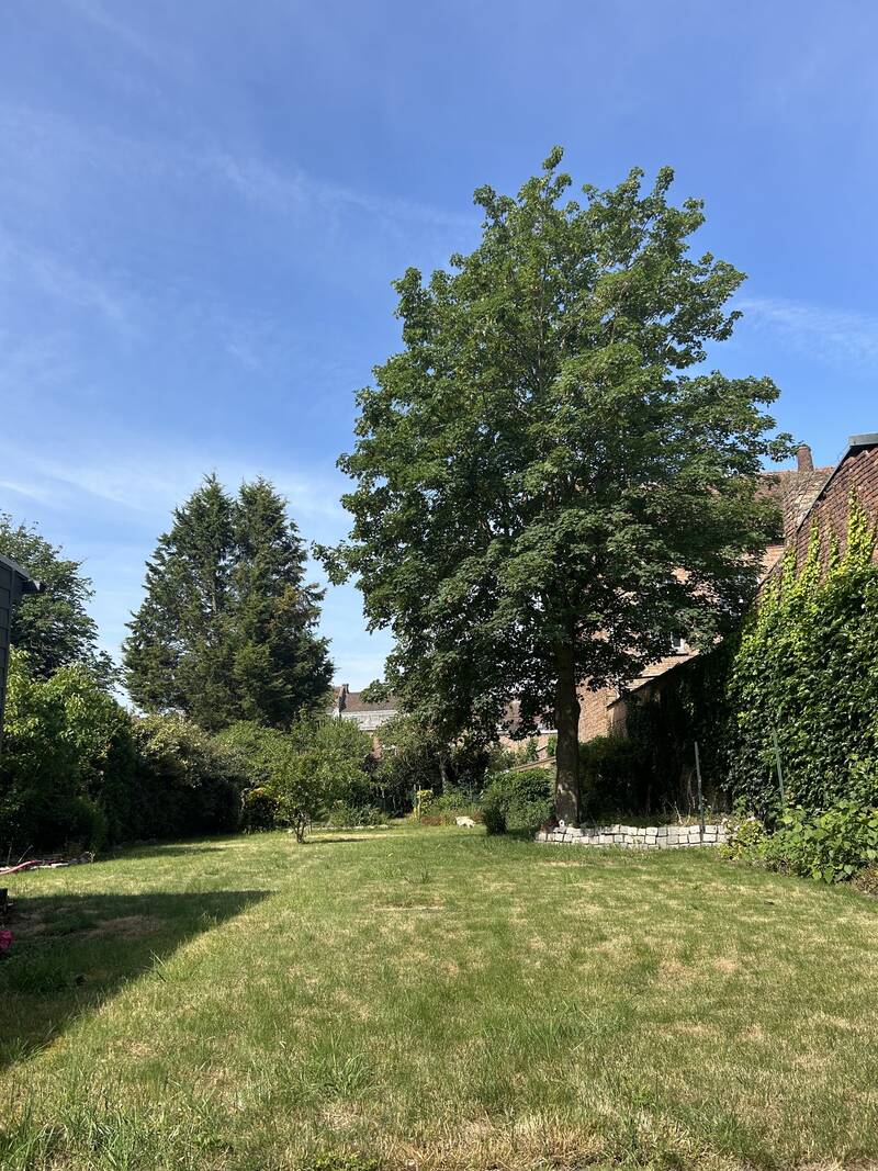Merville (59660)