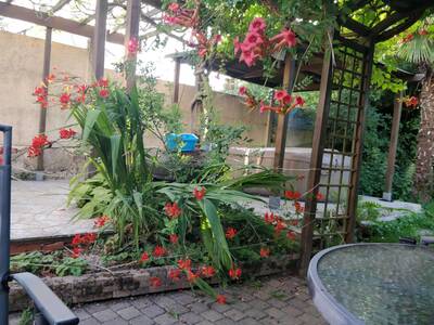 Location chambre en colocation 4 pièces Tigery (91250)