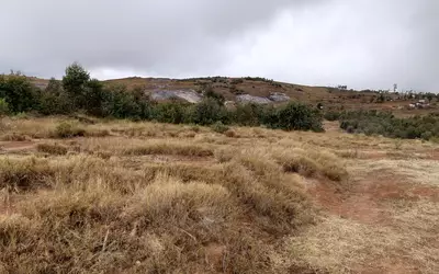 Madagascar