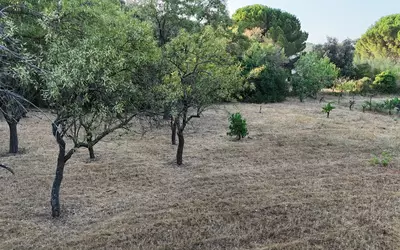 Vinassan (11110)
