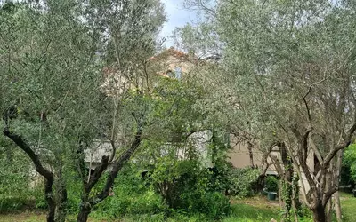 Saint-Vincent-De-Barbeyrargues (34730)