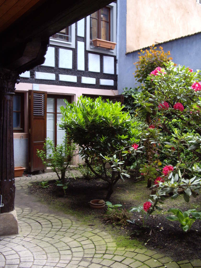 Strasbourg (67)