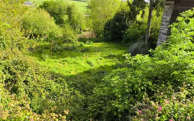 Beauchamps (50320)