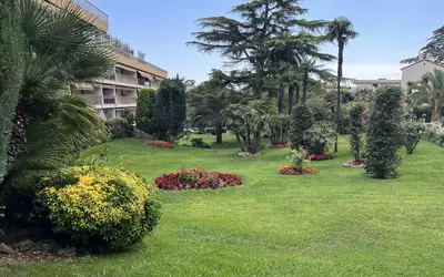 Cannes (06150)