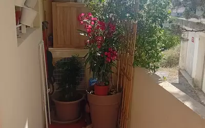 Aix-En-Provence (13080)