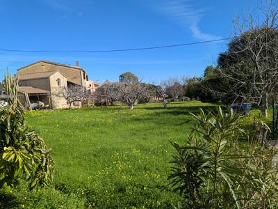 Vente maison 7 pièces Borgo (20290)
