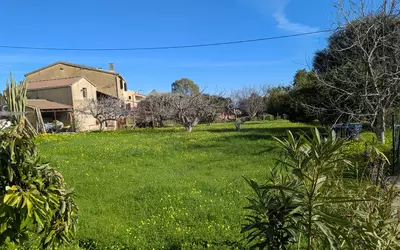 Borgo (20290)