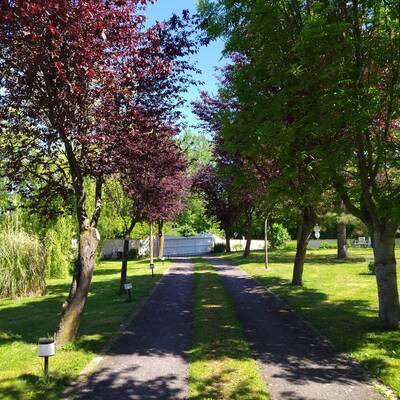 Vente maison 6 pièces Précieux (42600)