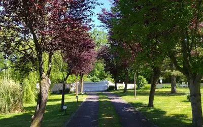 Précieux (42600)