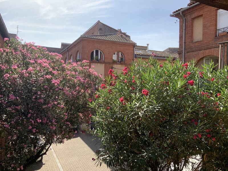 Toulouse (31000)