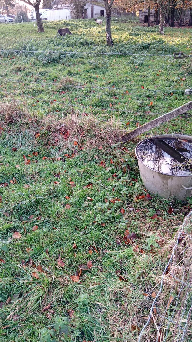 Fauville-En-Caux (76640)