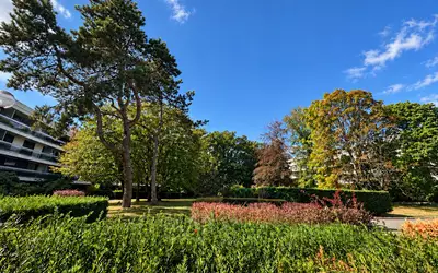 Versailles (78000)
